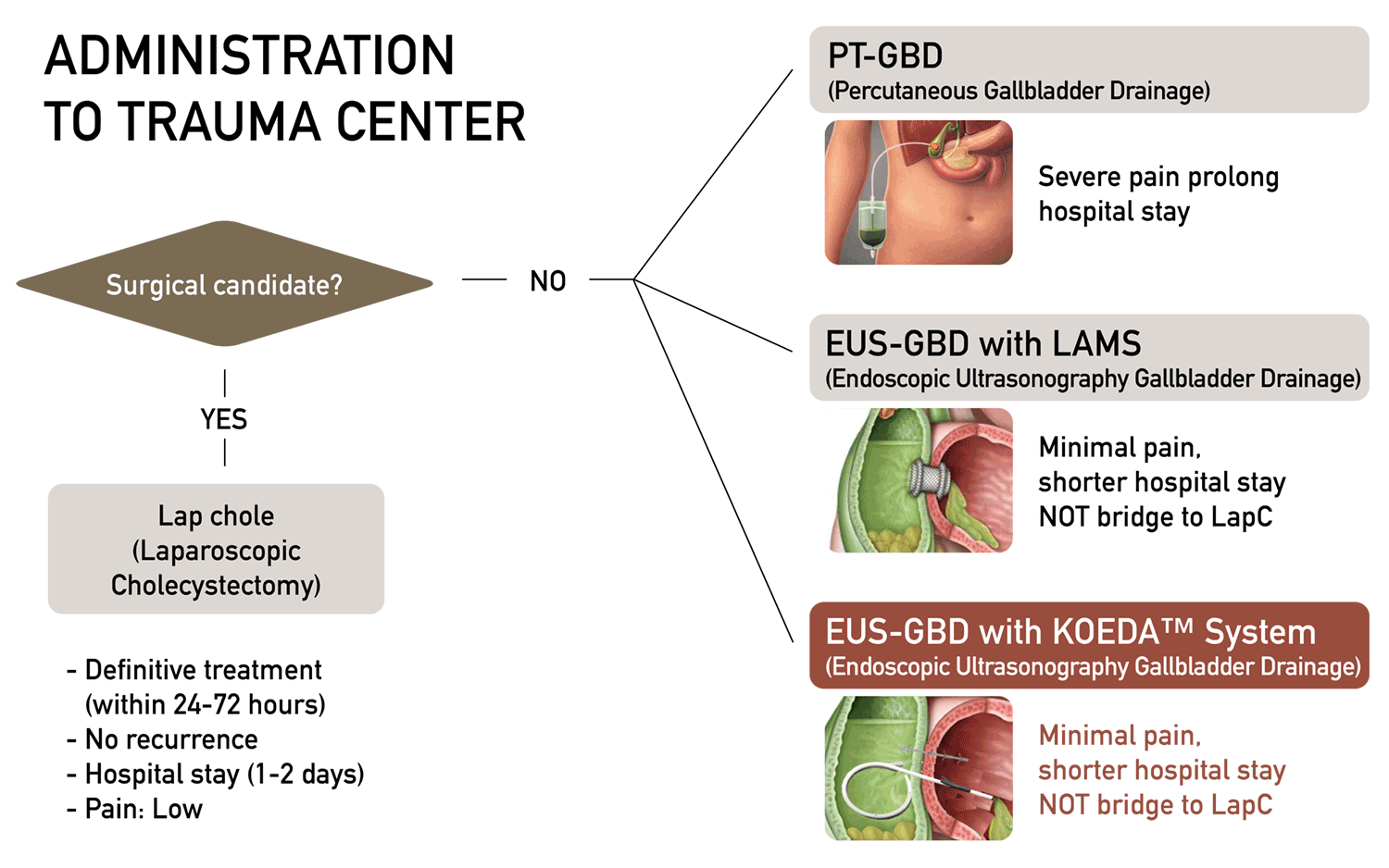 Koeda-EUS-GBD